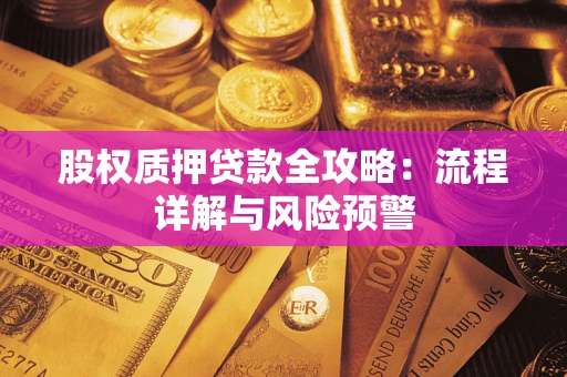 北京股权质押贷款全攻略：流程详解与风险预警