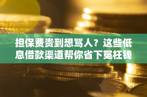 北京担保费贵到想骂人？这些低息借款渠道帮你省下冤枉钱