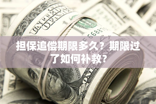 北京担保追偿期限多久？期限过了如何补救？