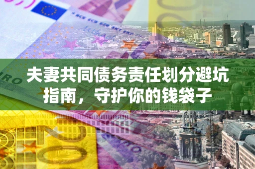 北京夫妻共同债务责任划分避坑指南，守护你的钱袋子