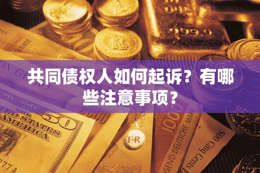 北京共同债权人如何起诉？有哪些注意事项？